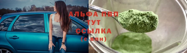 PSILOCYBIN Лиски