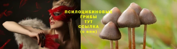 кокаин перу Краснослободск