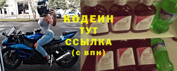 молекула духа Ладушкин