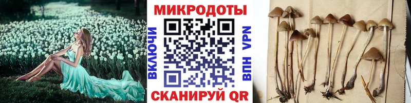 Купить закладки  Лысково  Галлюциногенные грибы GOLDEN TEACHER 